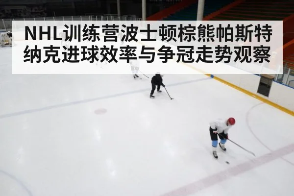 NHL训练营波士顿棕熊帕斯特纳克进球效率与争冠走势观察 - c7c7 app
