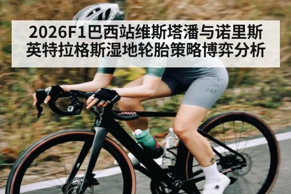2026F1巴西站维斯塔潘与诺里斯英特拉格斯湿地轮胎策略博弈分析
